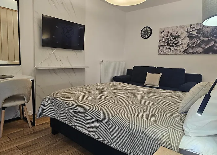 Sense New - Main Station And Center Apartmán Vratislav