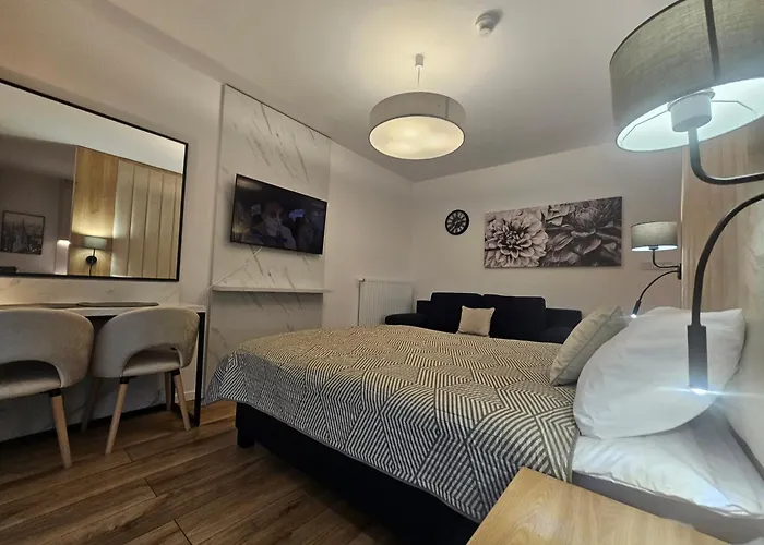 Sense New - Main Station And Center Apartmán Vratislav